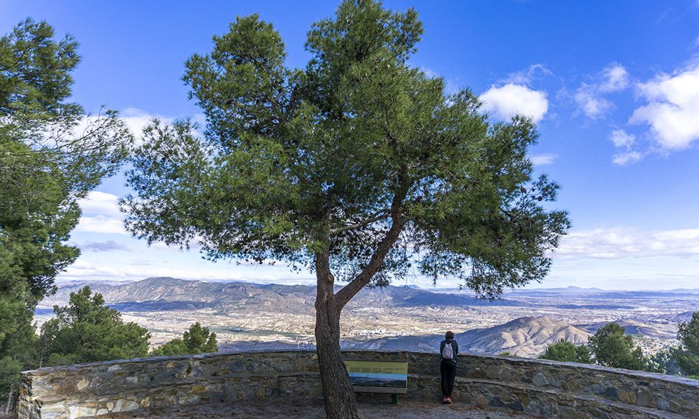 Mirador de la Silveria