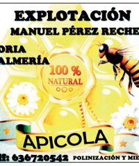 Honey of Oria Manuel Perez Reche