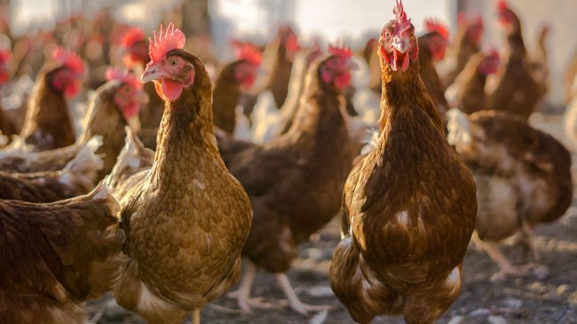 Route “Oria in Family”