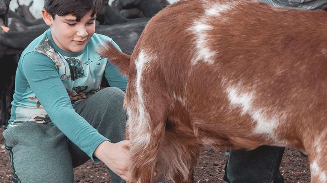 Farmer Experience for a day