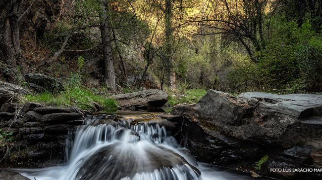 Bacares, aires de sierra