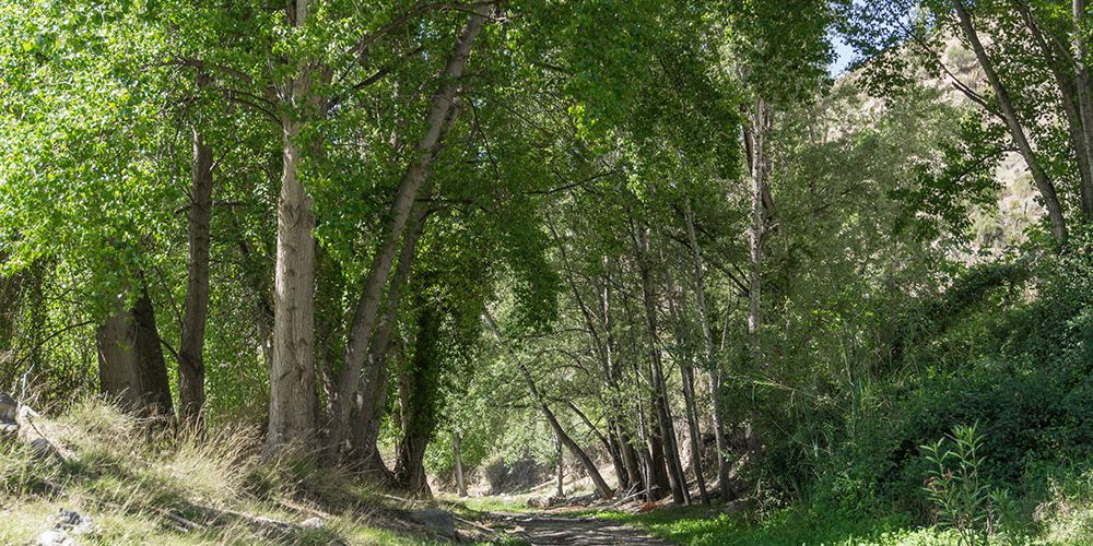 Qué actividades se pueden hacer en un viaje de turismo rural al interior de Almería