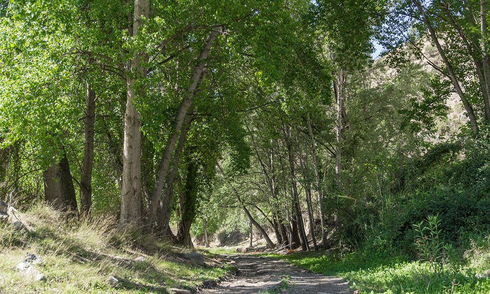 Qué actividades se pueden hacer en un viaje de turismo rural al interior de Almería