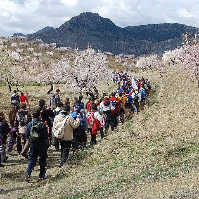 X Ruta Flor del Almendro – Albox 2018