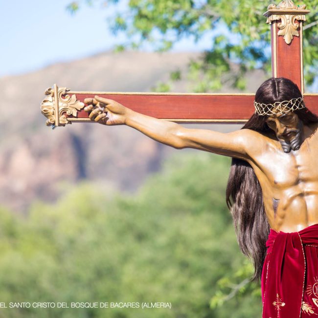 Horario de Misas y Procesión del Santo Cristo del Bosque en Bacares 2023