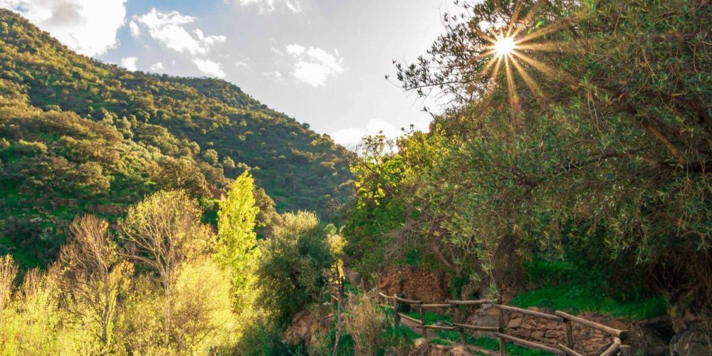 Valle del Almanzora, un tesoro en el interior de Almería