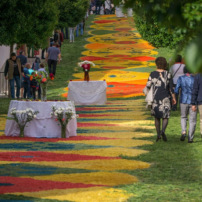 Festividad de la Virgen de Fátima – Tíjola
