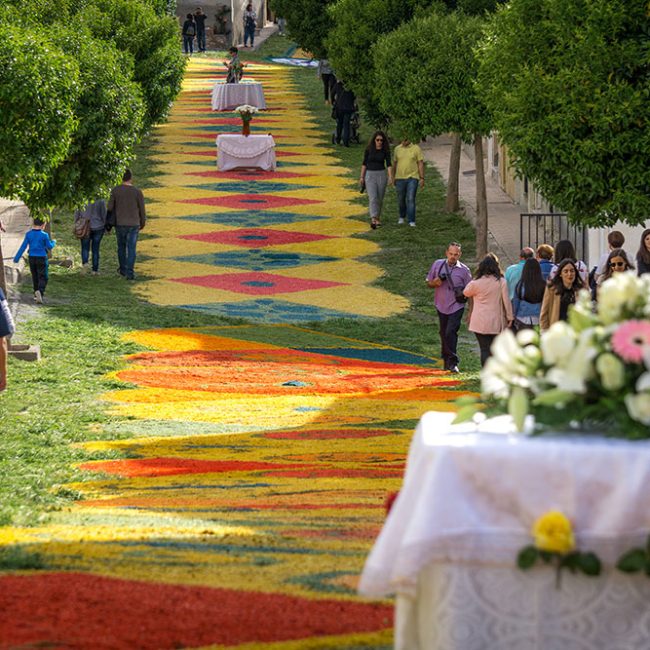 Virgen de Fátima – 12 mayo – Tíjola