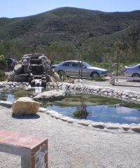 Fountain Cañal of Fines