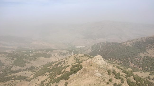 Viewpoint Jose ‘Bizco’ fuente