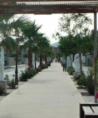 Outdoor Sculpture Museum