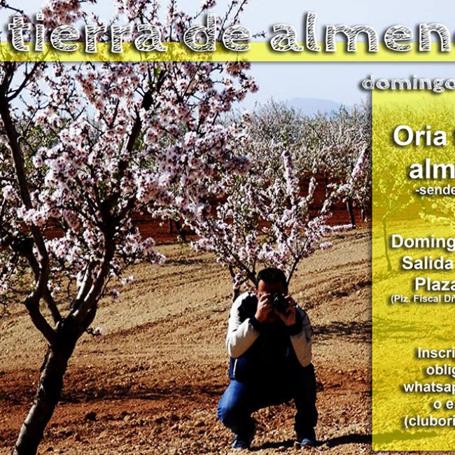 Ruta: Oria Tierra de Almendros