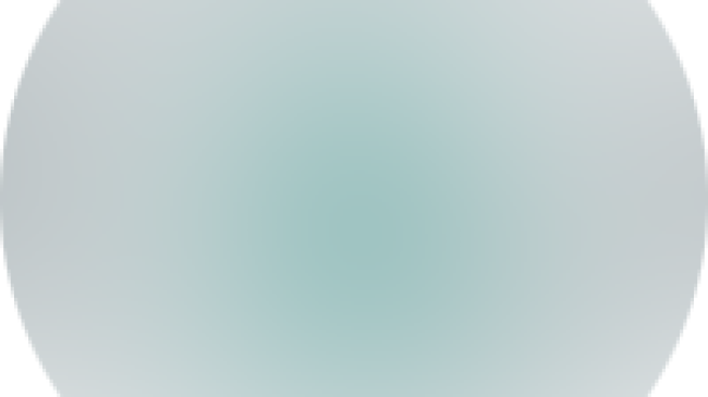 Business & Street View