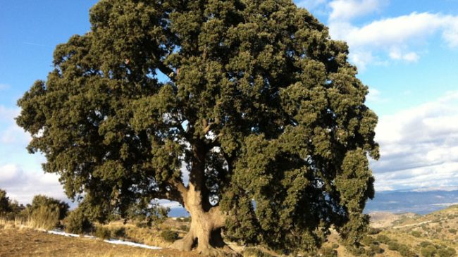 Natural Experience in Serón