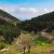 Turismo rural en el Valle del Almanzora (Almería), una experiencia llena de cultura y naturaleza