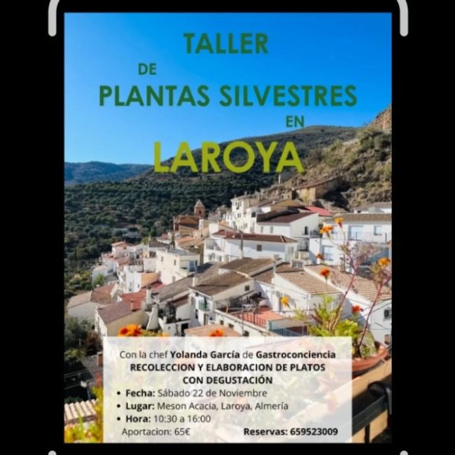 Taller de Plantas Silvestres en Laroya con Yolanda García