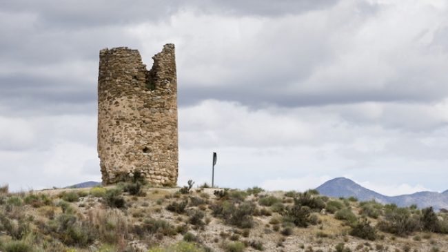 Terdiguera Tower