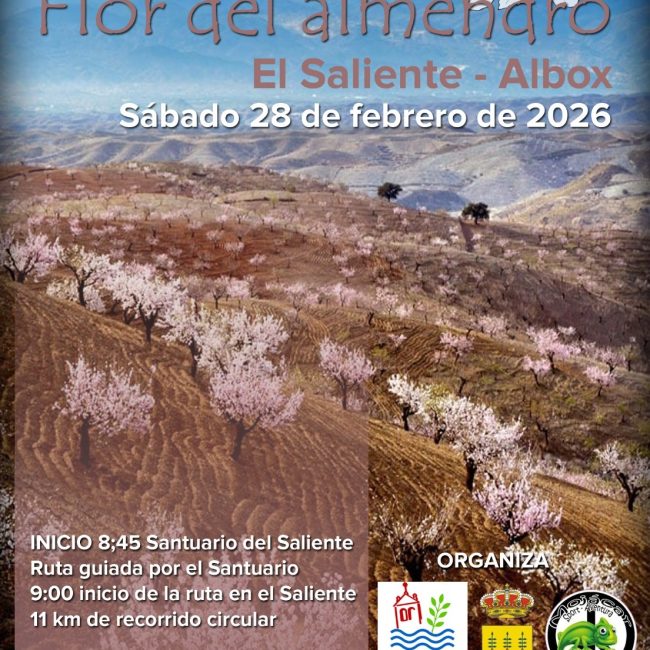 16th Almond Blossom Route – Albox 2026