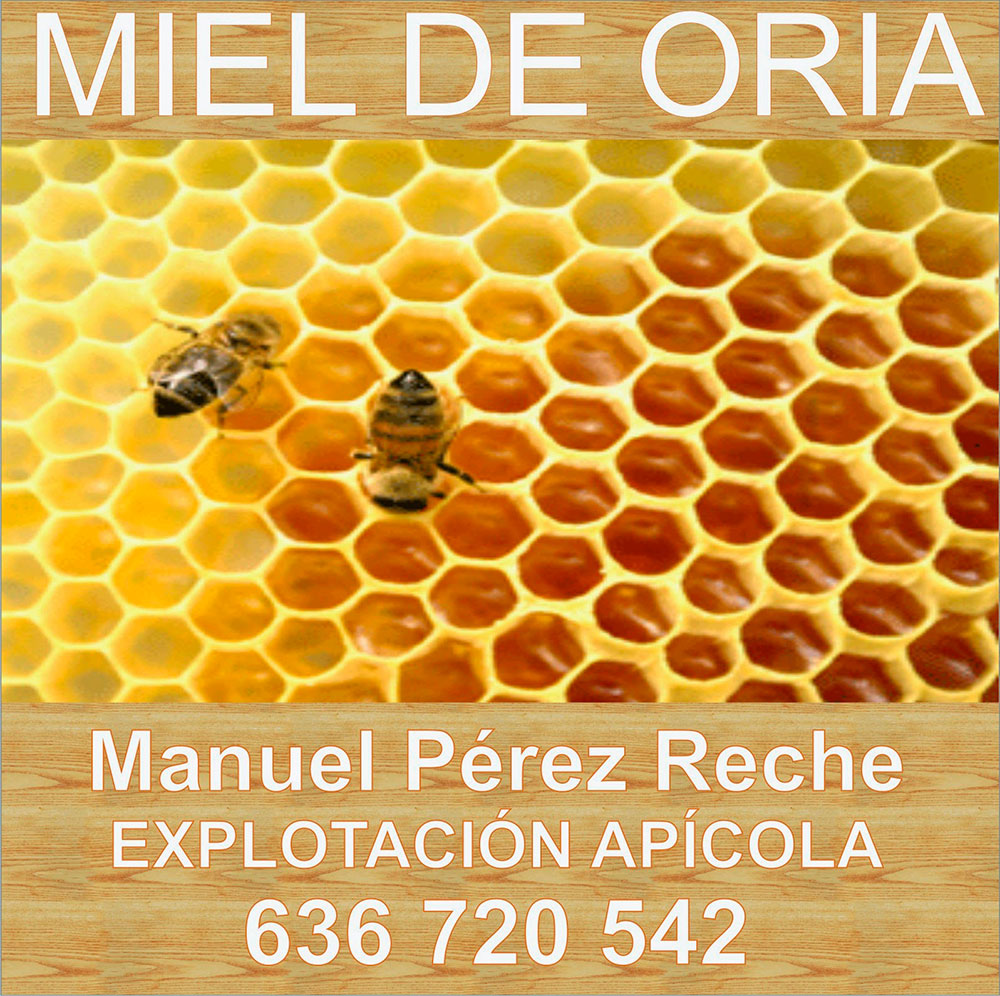 Miel en Panal – Miel Apicola Perez